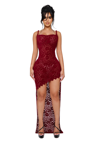 Thorne Velvet Lace Dress - Venus Pit