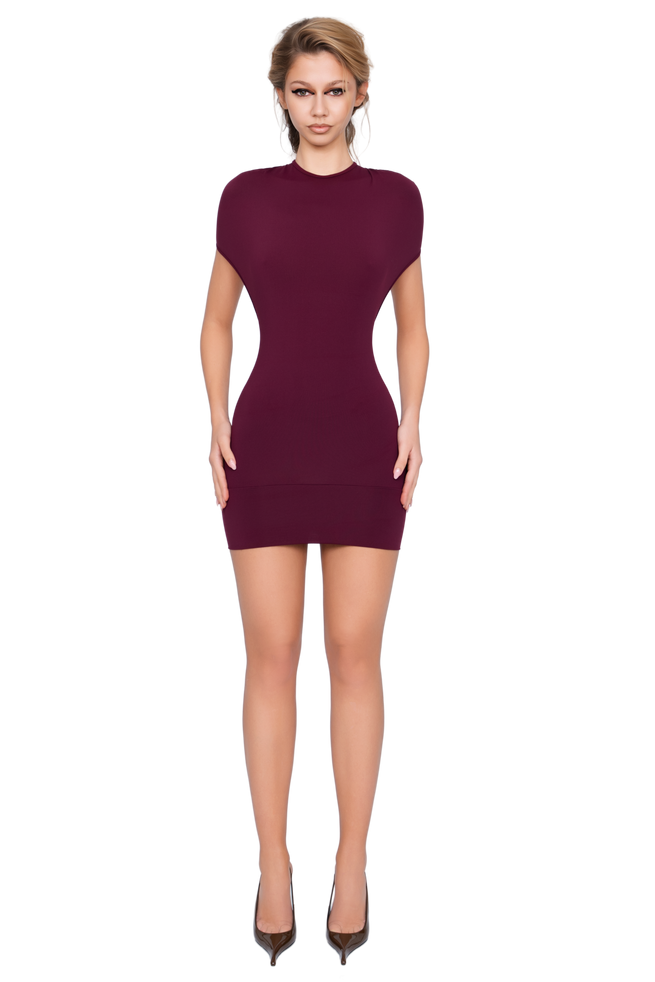 Dola Ruched Mini Dress - Deep Berry