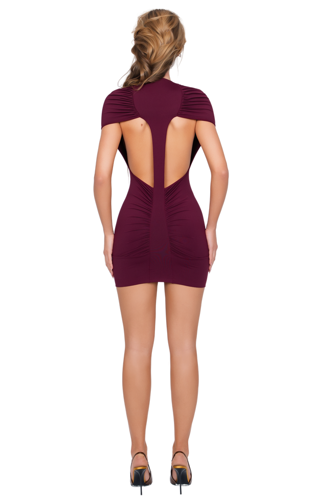 Dola Ruched Mini Dress - Deep Berry