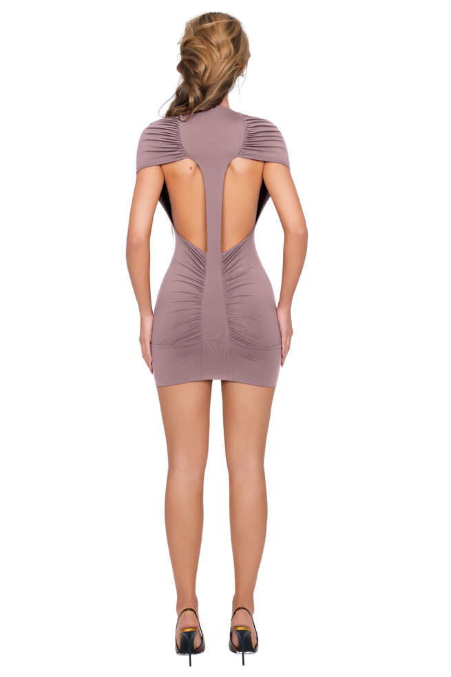 Dola Ruched Mini Dress - Soft Mauve