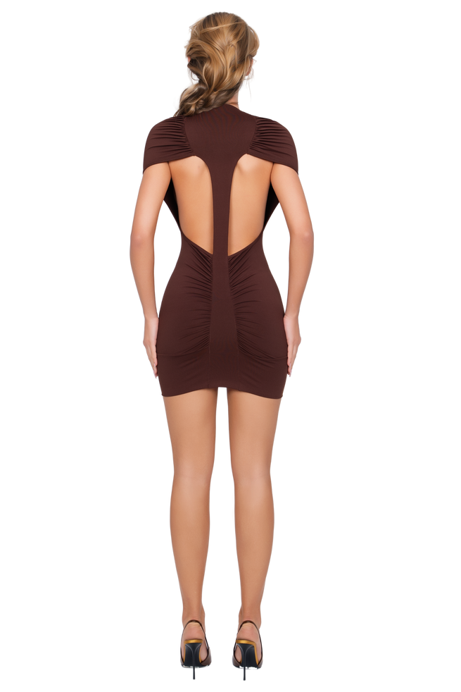 Dola Ruched Mini Dress - Arabica